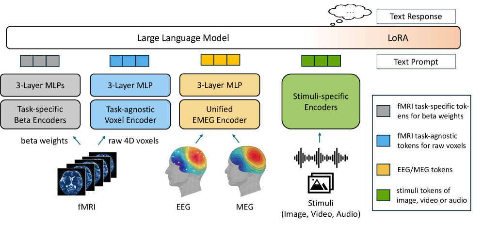清华大学领衔！NOBEL：首个全模态大脑解码基础模型图3