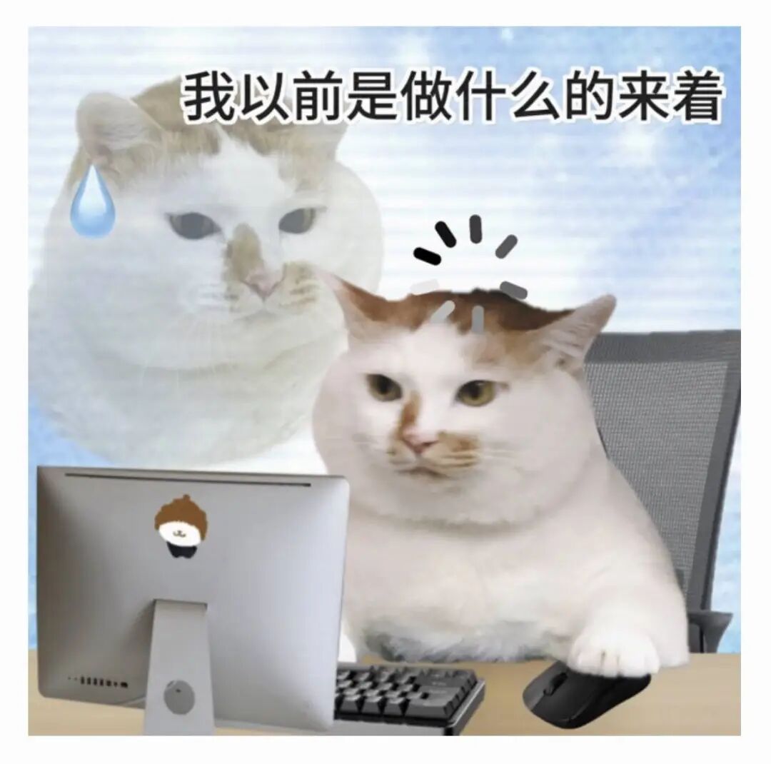 我在微信养了一天龙虾🦞，花了 20 万Token让它给我发压缩包图10