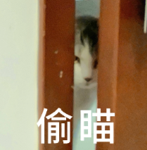 刚刚，全球视频模型新王诞生了！图2