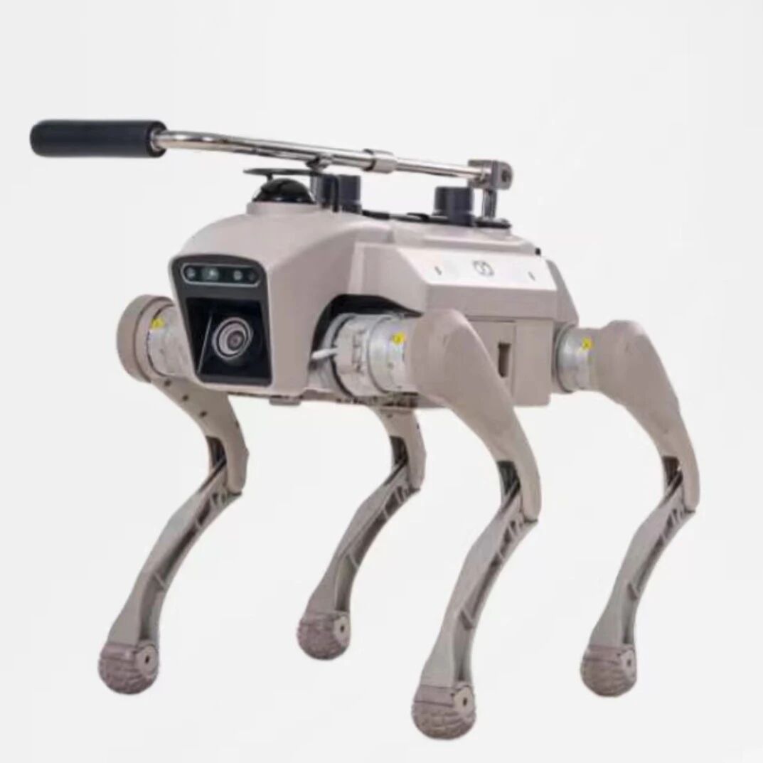 会爬楼梯、能聊天的导盲犬来了！绵阳“启明一号”2.0版本发布