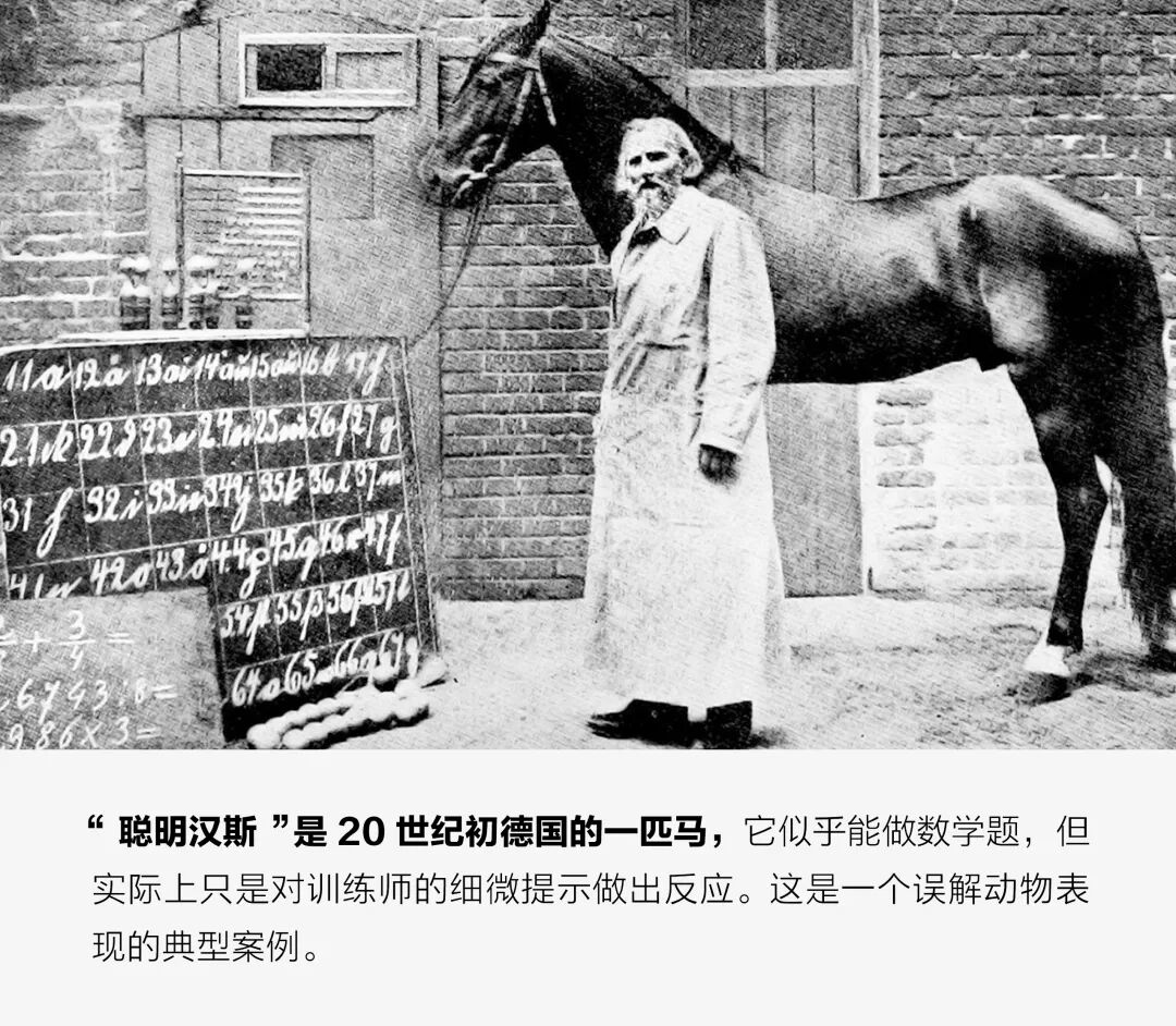 能否为人工智能设计出更好的智商测试？图4