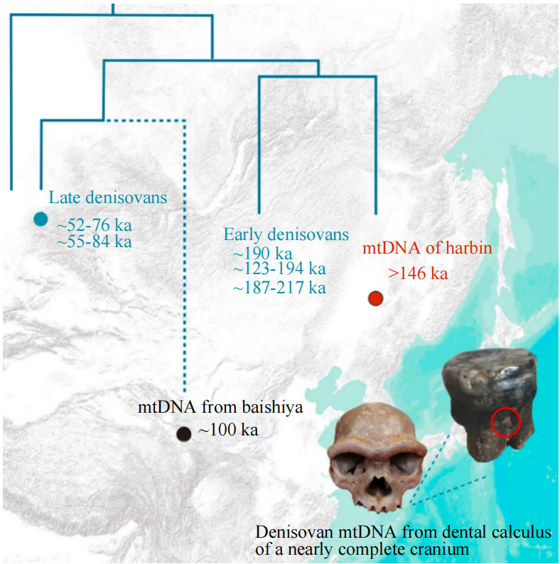 2025年中国重大科学、技术和工程进展图8