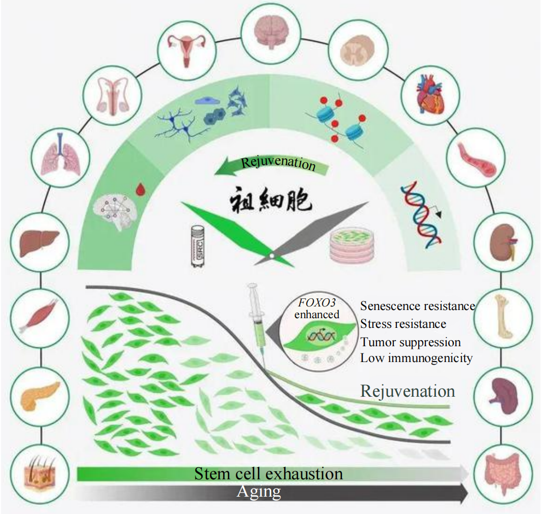 2025年中国重大科学、技术和工程进展图9