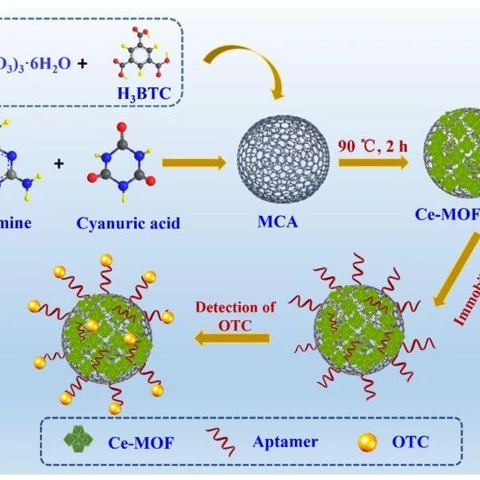 Biosens Bioelectron：‌Ce-MOF@COF杂化纳米结构的构建及其用于水溶液环境中土霉素残留超灵敏检测的无标记适体传感器