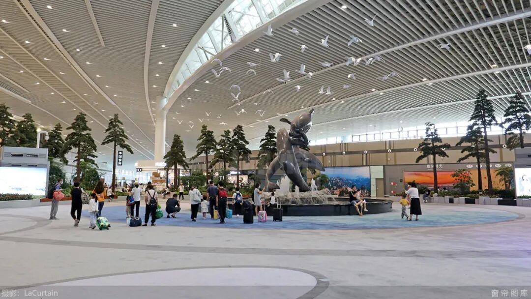 山东航空6年来首次获得“新订单飞机”图3