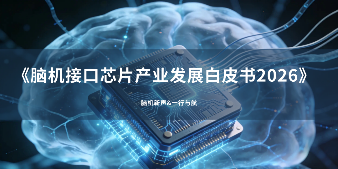 芯片 or 电极，谁才是脑机接口产业的基础设施？图4