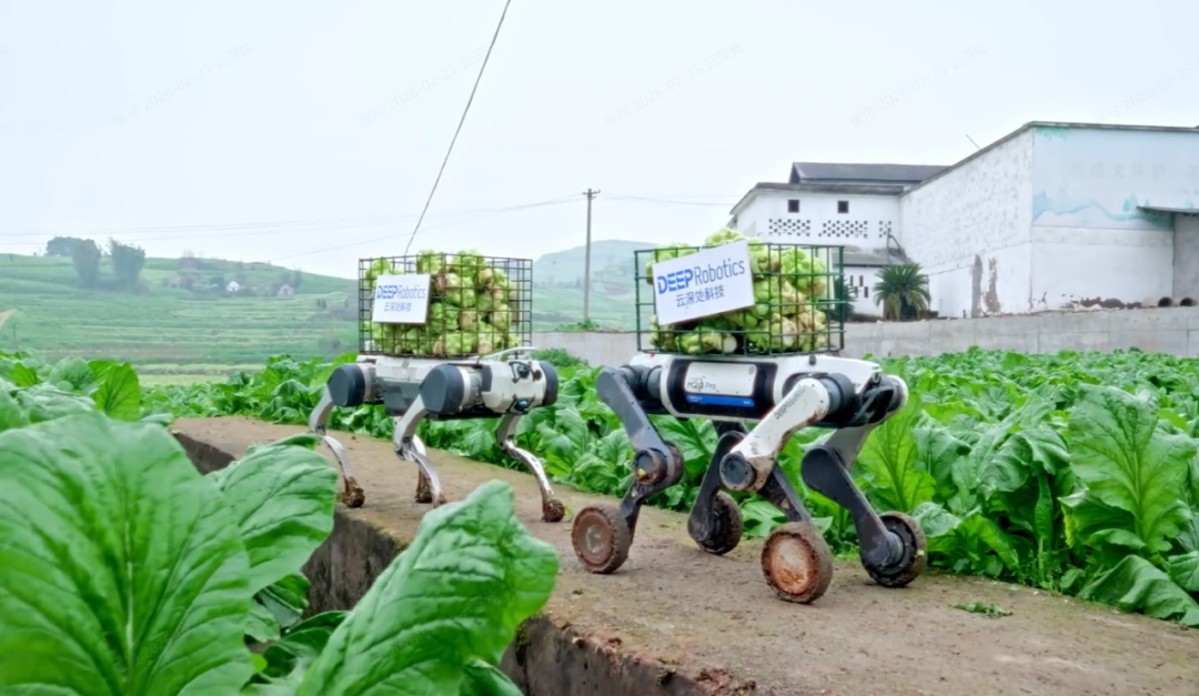 朱秋国受邀出席中国发展高层论坛，共话人工智能产业化发展图10