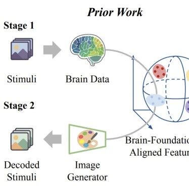 ICLR 2026 | NeuroAdapter：直接从大脑信号“画”出你所见