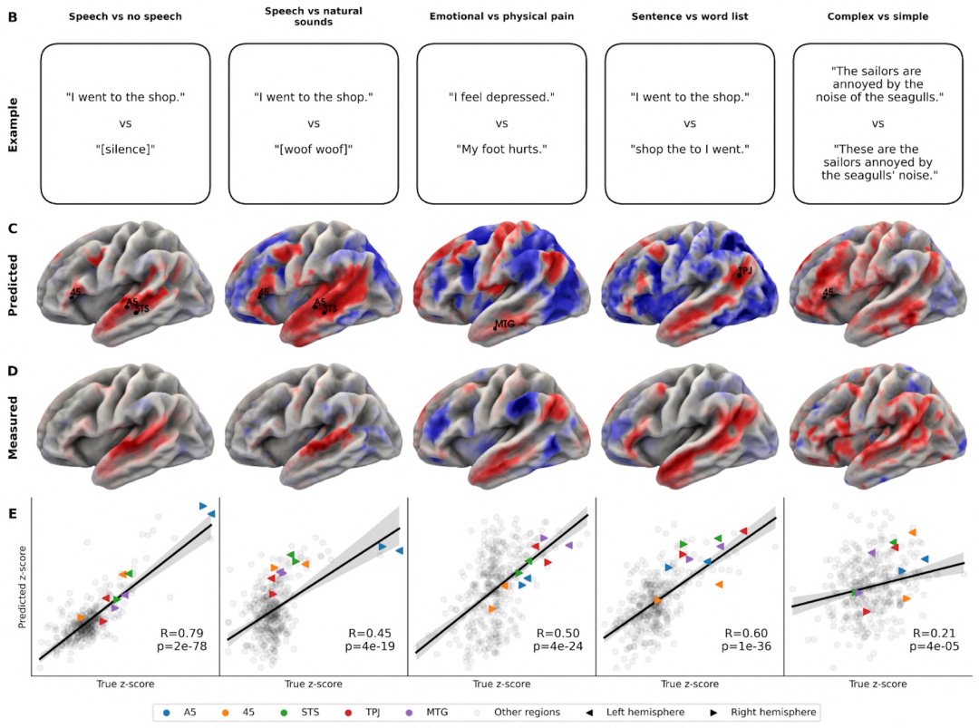Meta&nbsp;发布全新三模态大脑AI模型图7
