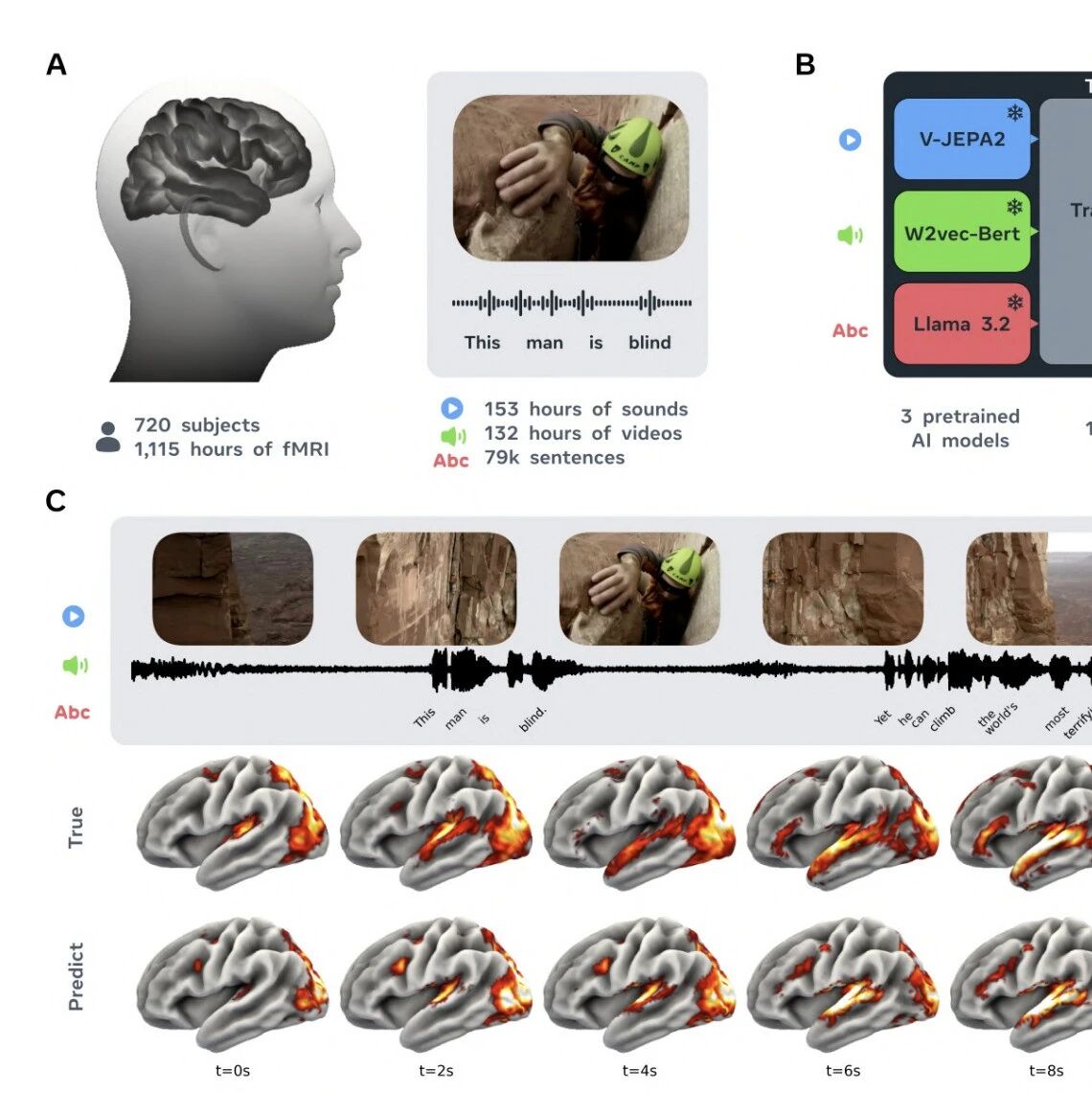 Meta 发布全新三模态大脑AI模型