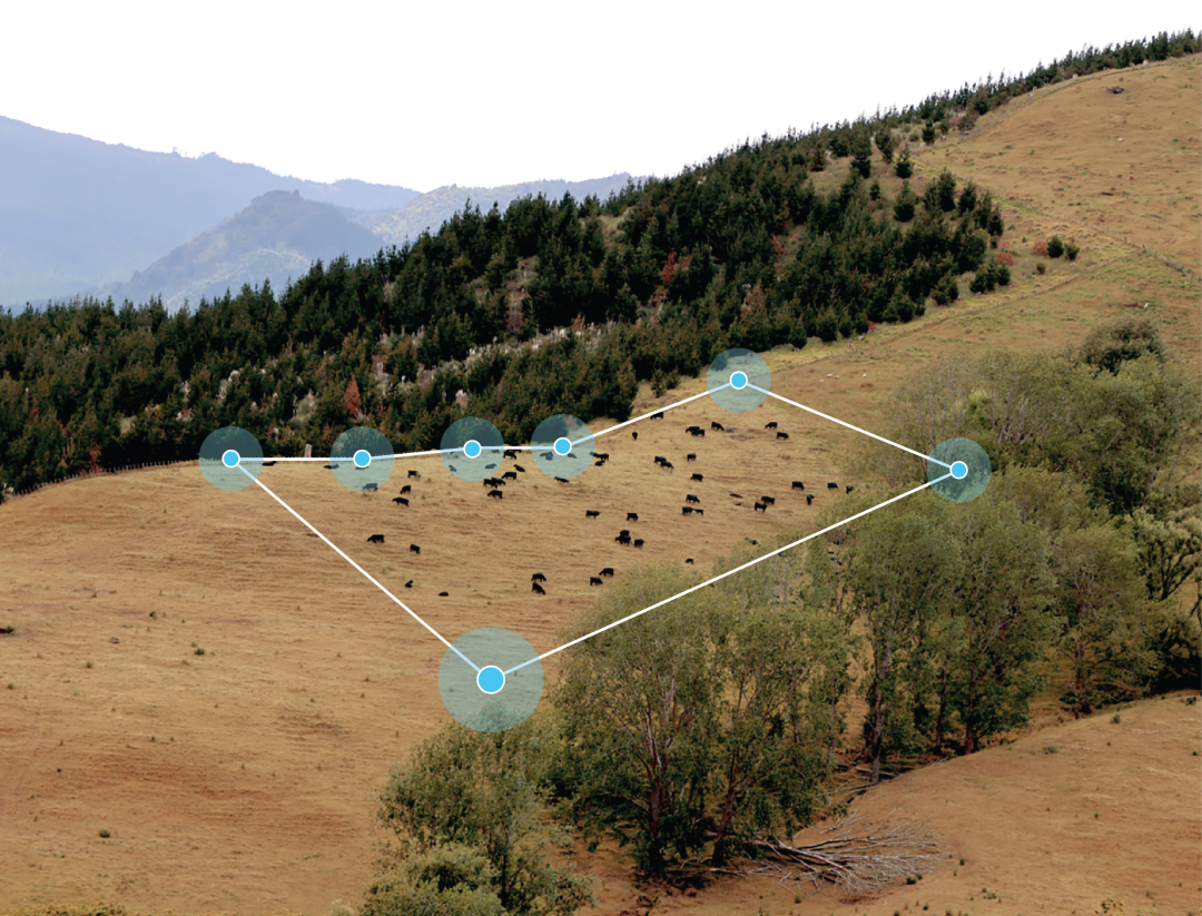 硅谷大佬抢着投！给奶牛戴AI项圈：估值20亿美元图8