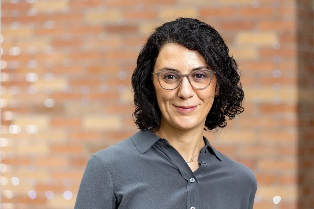 美国开源AI最后的旗帜，也倒了图5