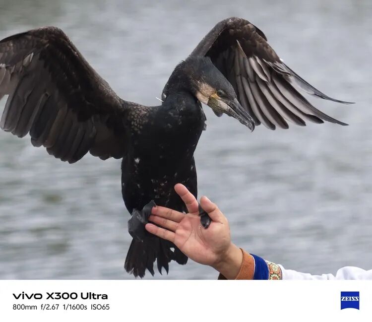 vivo X300 Ultra 上手：握在手里的专业相机图23