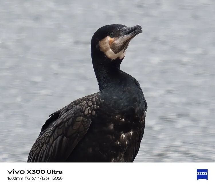 vivo X300 Ultra 上手：握在手里的专业相机图24