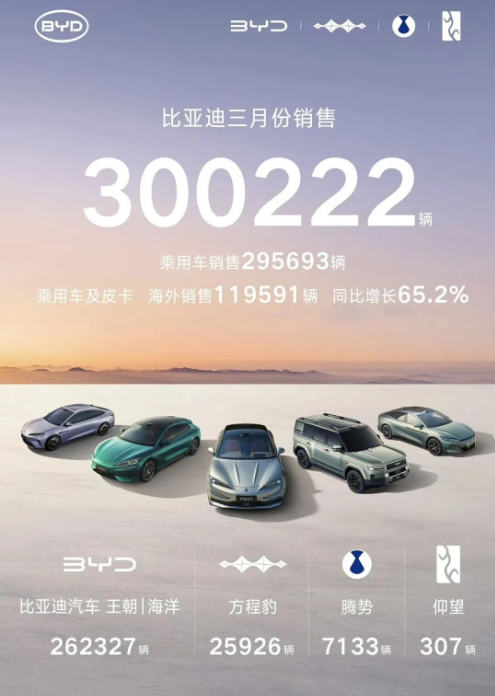 比亚迪杀回第一，王传福吊打友商图6