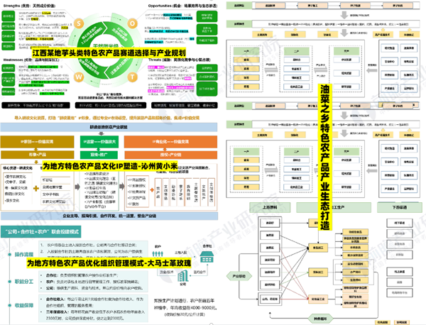 一年损耗4.6亿吨、1.88万亿打水漂！县域经济，别再“卖特产”了图2