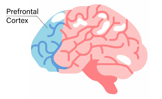 为了给自己找借口，这届年轻人集体确诊&ldquo;前额叶受损&rdquo;。图11