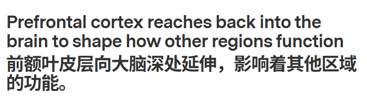 为了给自己找借口，这届年轻人集体确诊&ldquo;前额叶受损&rdquo;。图18