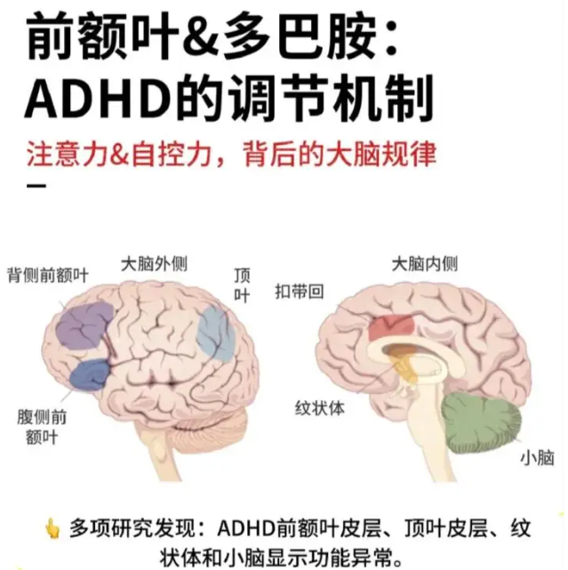 为了给自己找借口，这届年轻人集体确诊&ldquo;前额叶受损&rdquo;。图28