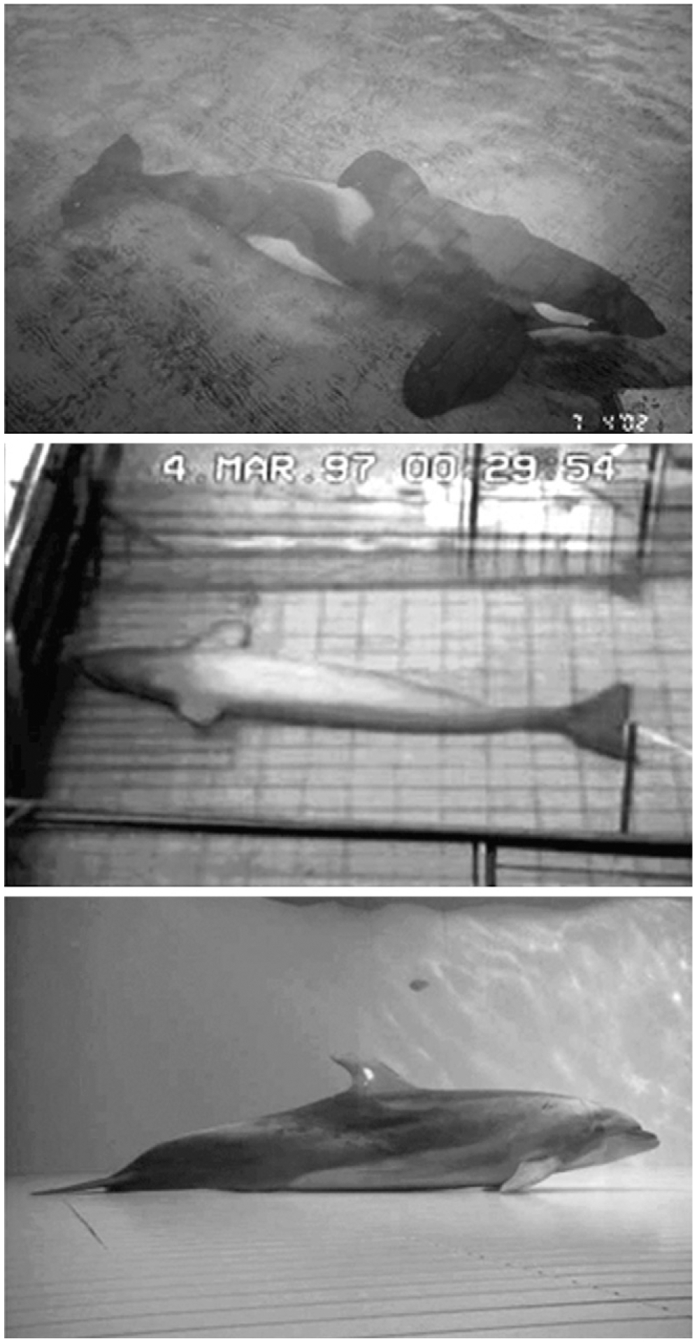 AI，为什么也需要睡觉？图2