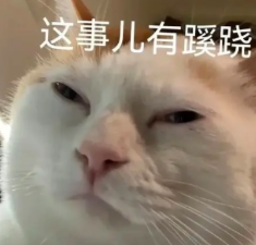 OpenAI又曝出内讧了!IPO前夜高层大换血图9