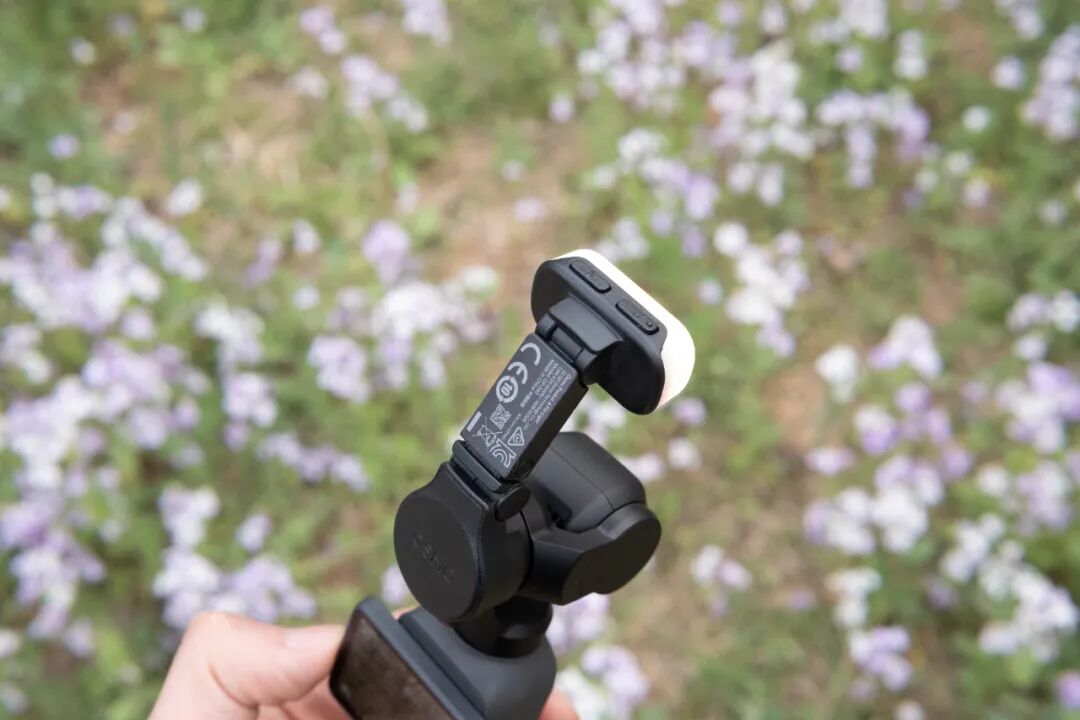 大疆 OSMO Pocket 4 深度体验:三年之后,大疆如何继续定义「手持云台相机」图14