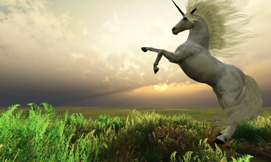 腾讯百度押注，上海算力芯片独角兽通过聆讯图2