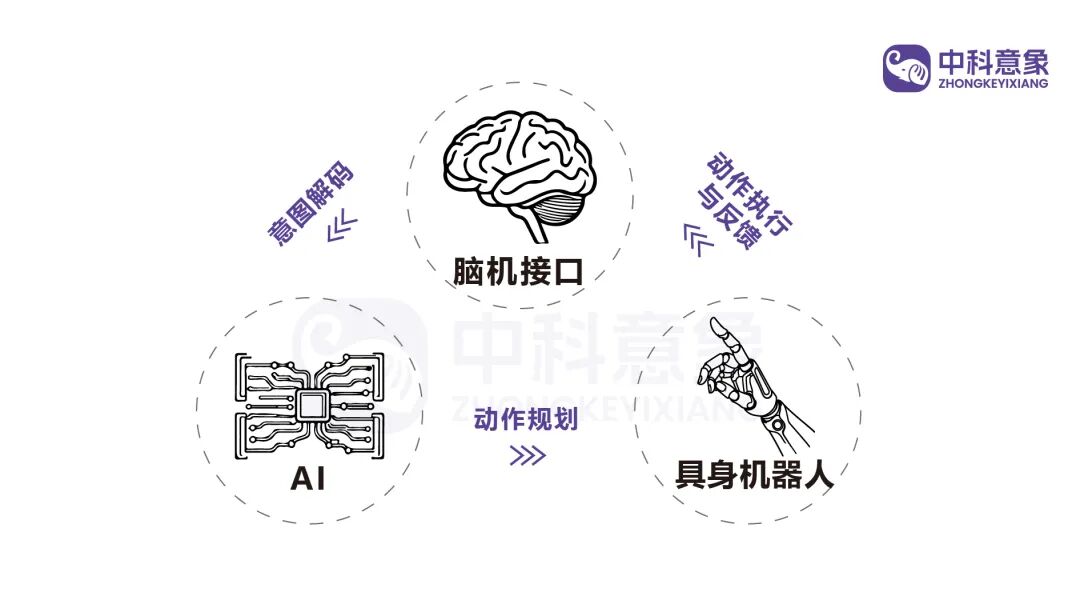 脑机接口新进展！中科意象首次验证&ldquo;意图解码+AI规划+具身执行&rdquo;新范式，刷新脑机接口想象空间图2