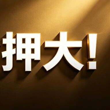 10000毫安时，国产手机全押大！