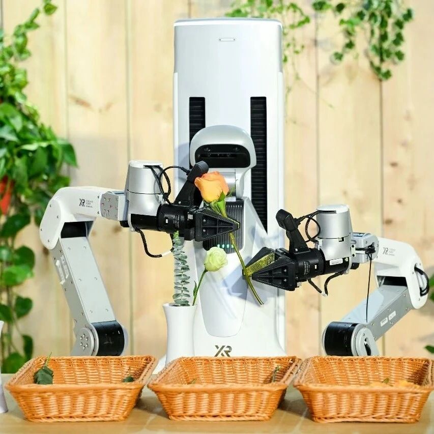 阿里、美团、字节、小米罕见「会师」，四大厂为何共同押注自变量机器人