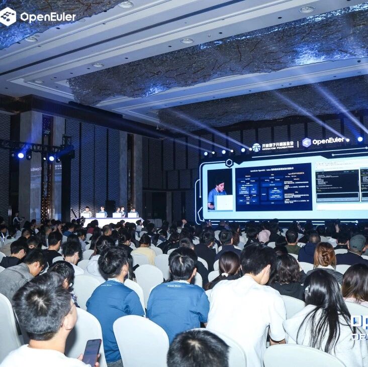 openEuler Developer Day 2026成功举办