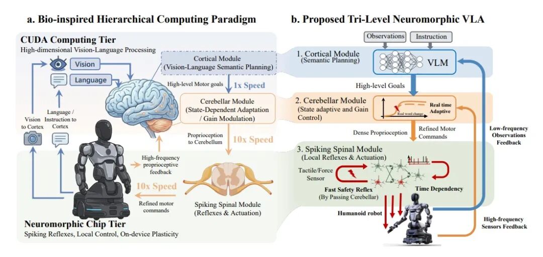 从融合世界模型到演生类脑架构，&ldquo;中国特斯拉&rdquo;凭什么在VLA 主航道上持续领航？图4
