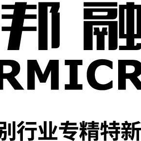 邦融微电子：深耕AI算法芯片，以RISC-V赋能自主可控芯生态