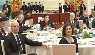 坐到马斯克和库克中间的湖南女人图1
