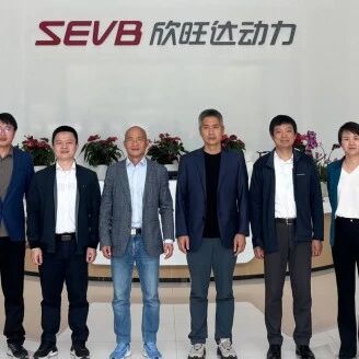 每颗电芯都有芯片？欣旺达动力联手SENASIC放出关键信号