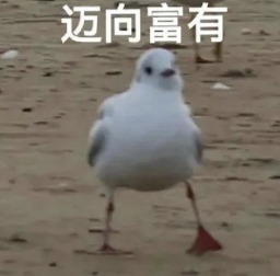 英伟达各岗位薪资曝光：最贵的不是AI研究员，基本工资200万/年的扎堆图1