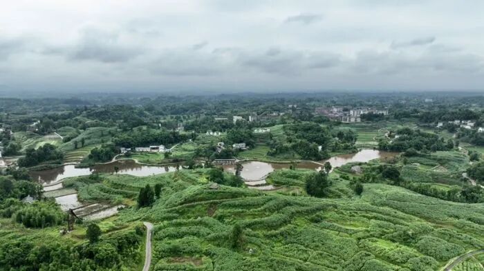 【工业强县 向“新”而行】大竹：一根苎麻串起乡村振兴“产业链”图3