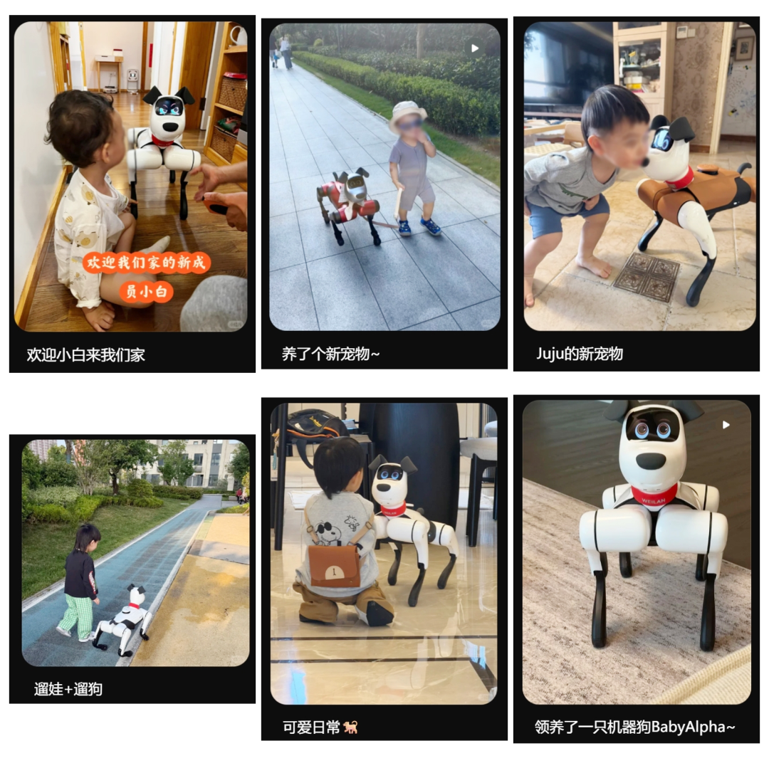 谁先跑进10万个家庭，谁就赢了机器人第一局图17