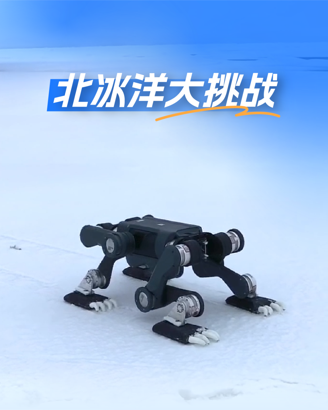 北极硬核挑战!云深处机器狗完成北冰洋科考实测图1