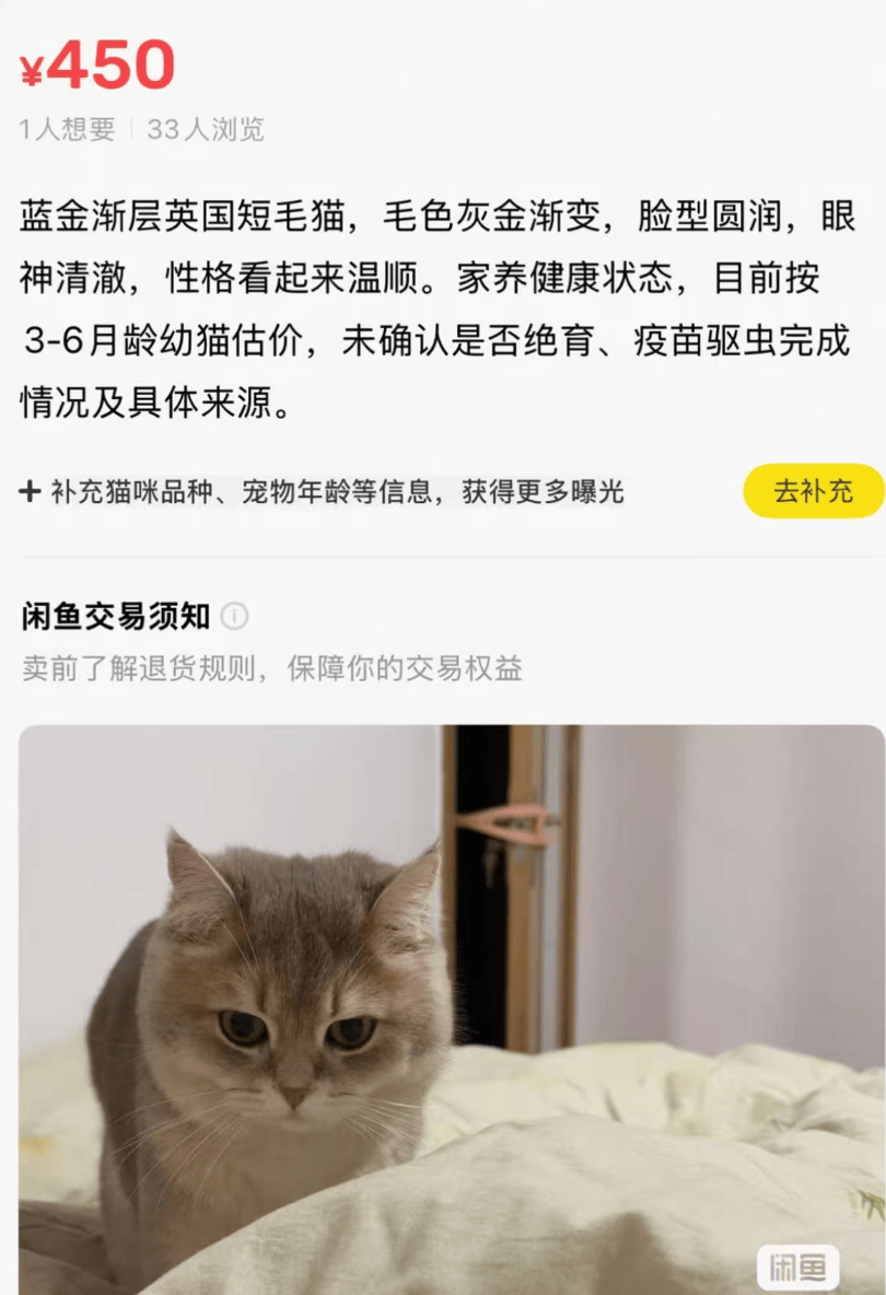 AI搅局，闲鱼变“闲愚”：网友吐槽平台识图乱判、无确认自动上架，故宫馆藏文物只值150元图5