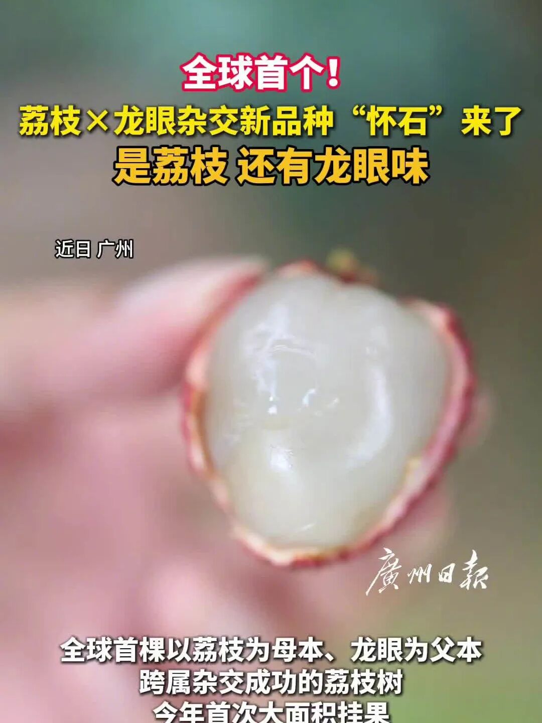 医保个人账户跨省共济来了;追觅创始人俞浩称将心无旁骛做实业;闻泰科技起诉安世荷兰;美国Anthropic呼吁全球AI刹车...图7