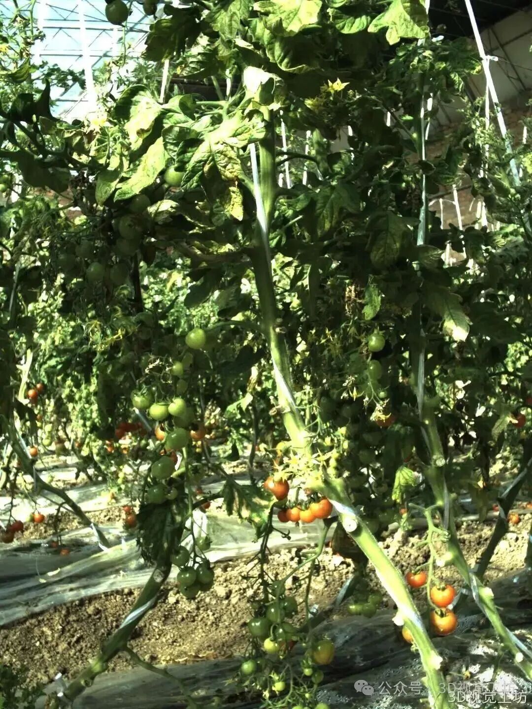 苏州三迪斯维！SD-M系列！三合一高精度结构光3D相机！支持户外和焊接场景！支持面阵扫描、摆动线扫和固定线扫三种模式！图63