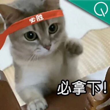1290万高考生看过来！阿里出了个志愿填报Agent，免费的