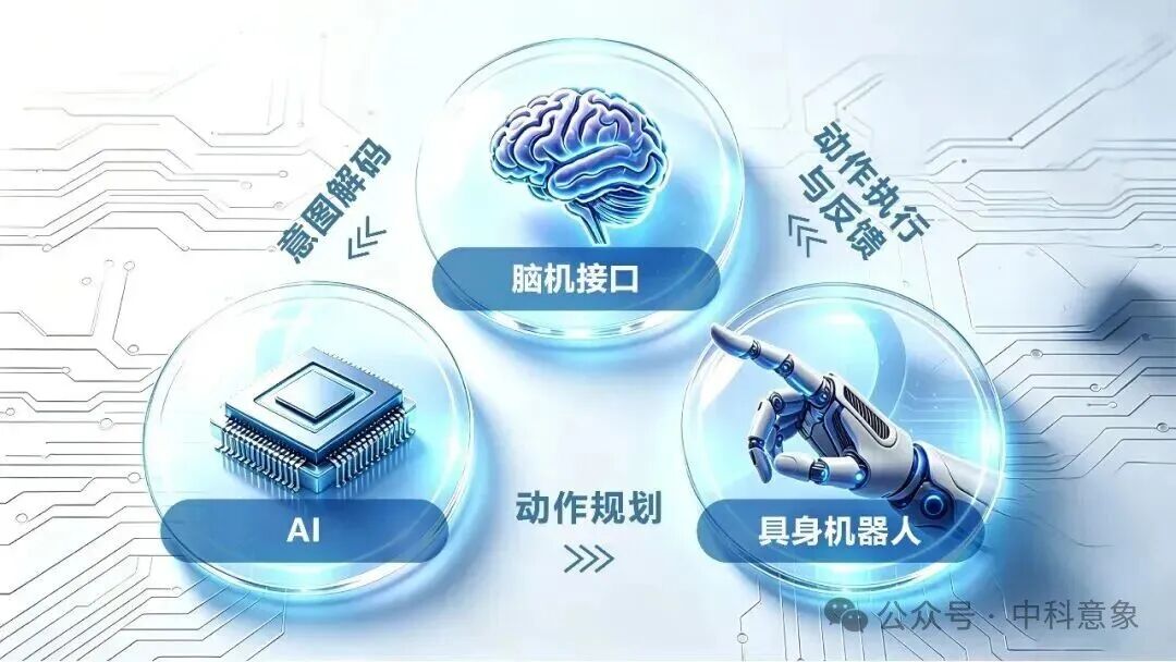 中科意象完成天使轮融资,持续引领“ 脑机-AI-具身 ”融合新范式图4
