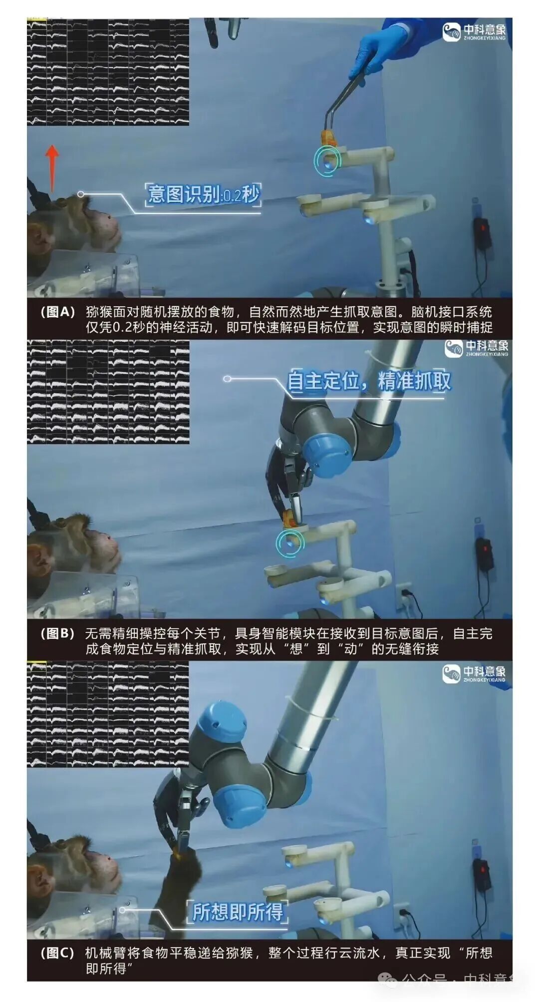 中科意象完成天使轮融资,持续引领“ 脑机-AI-具身 ”融合新范式图5