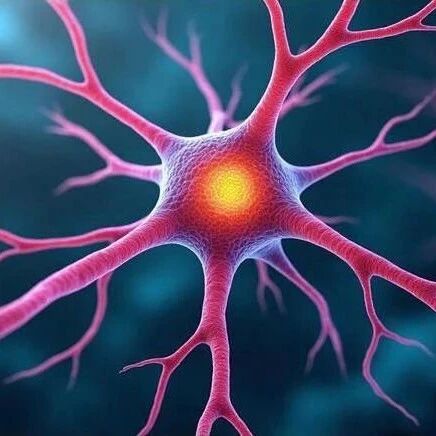 CVPR 2026 | 视觉脑机迈向双向交互！神经流模型 NeuroFlow 打通视觉与神经的双向通道