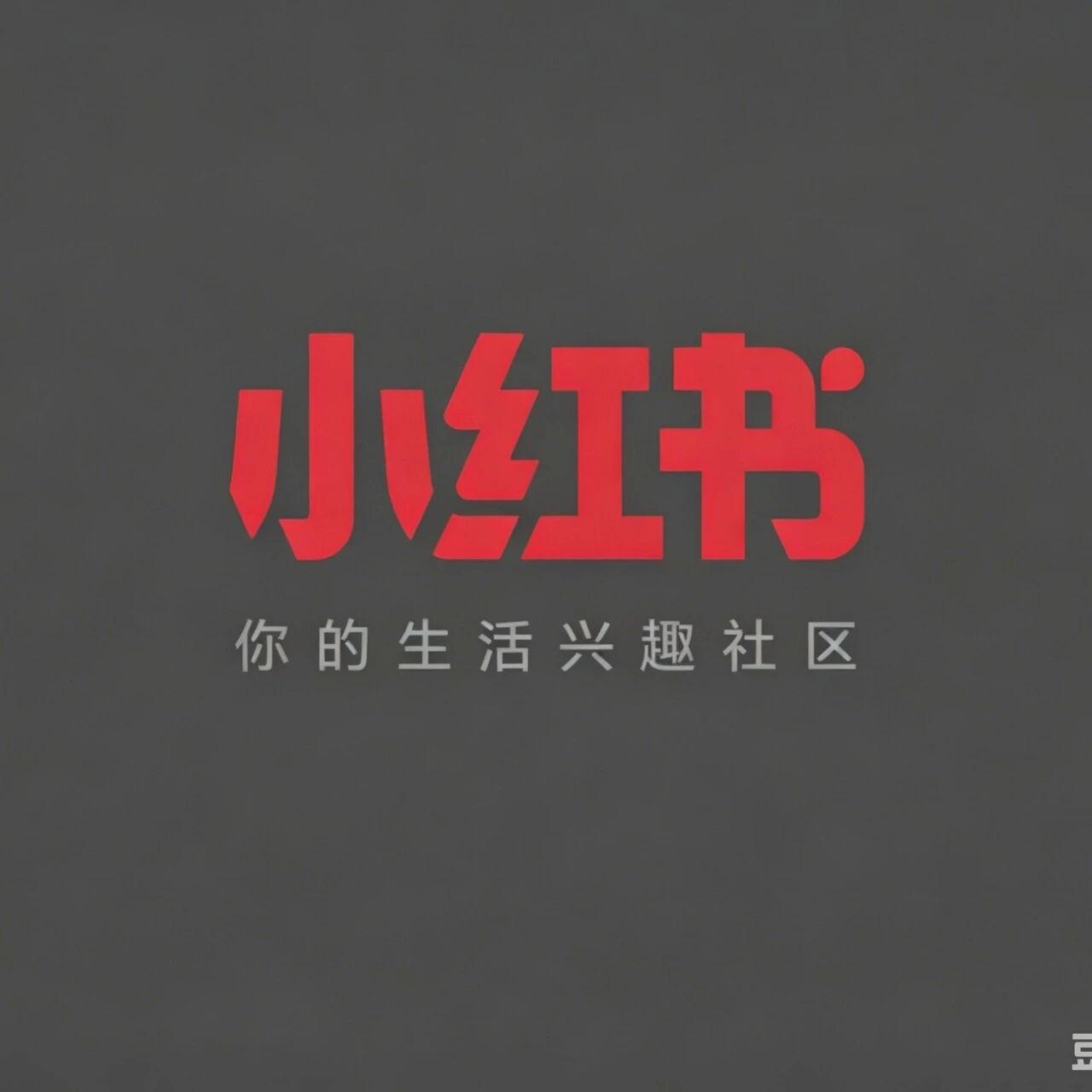 外媒称小红书月底前向港交所提交IPO申请