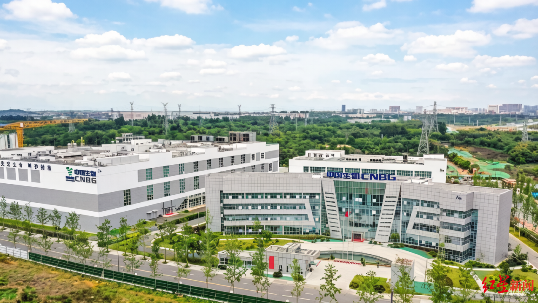 填补国产空白、引领国际创新！“成都造”创新药又有新进展｜成都新Tech图5