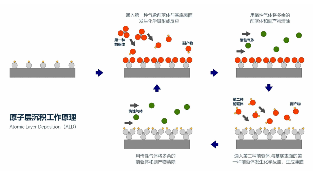 三星为 Neuralink 代工 4nm 第四代脑机接口芯片图3