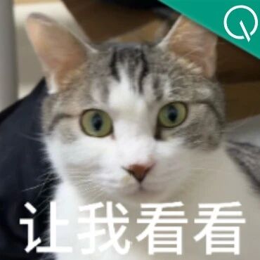 困住医疗AI的死循环，终于有国产玩家跑通了